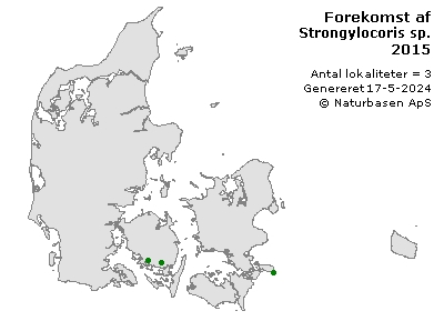 Strongylocoris sp. - udbredelseskort