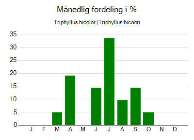 Triphyllus bicolor - månedlig fordeling