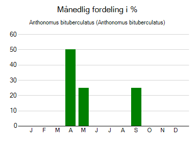 Anthonomus bituberculatus - månedlig fordeling