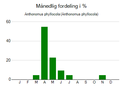 Anthonomus phyllocola - månedlig fordeling
