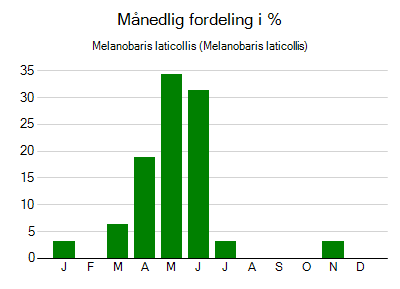 Melanobaris laticollis - månedlig fordeling