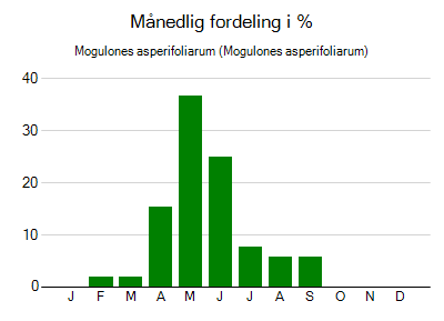 Mogulones asperifoliarum - månedlig fordeling
