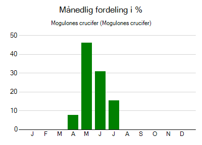 Mogulones crucifer - månedlig fordeling