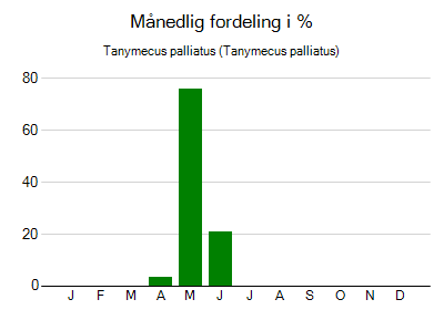 Tanymecus palliatus - månedlig fordeling