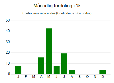 Coeliodinus rubicundus - månedlig fordeling