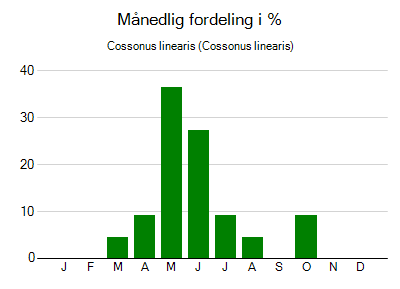 Cossonus linearis - månedlig fordeling