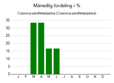 Cossonus parallelepipedus - månedlig fordeling