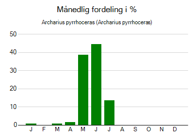 Archarius pyrrhoceras - månedlig fordeling
