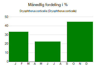 Dryophthorus corticalis - månedlig fordeling
