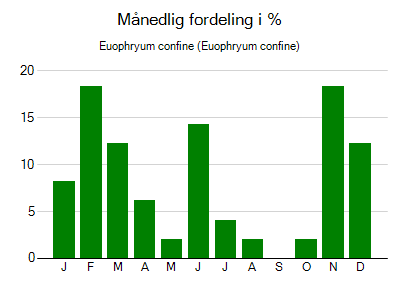 Euophryum confine - månedlig fordeling