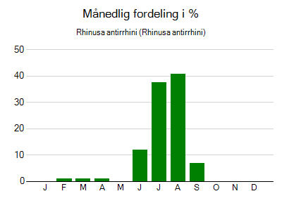 Rhinusa antirrhini - månedlig fordeling