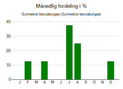 Gymnetron beccabungae - månedlig fordeling