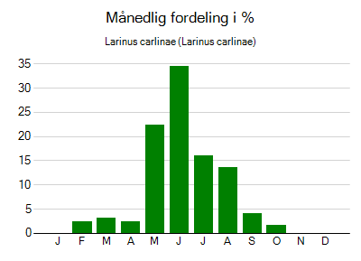 Larinus carlinae - månedlig fordeling