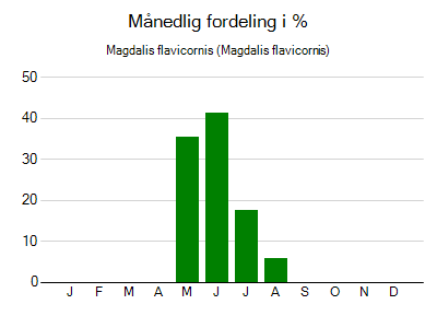 Magdalis flavicornis - månedlig fordeling