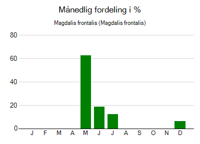 Magdalis frontalis - månedlig fordeling