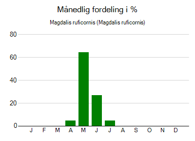 Magdalis ruficornis - månedlig fordeling