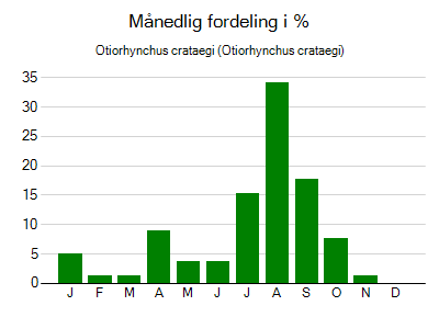 Otiorhynchus crataegi - månedlig fordeling