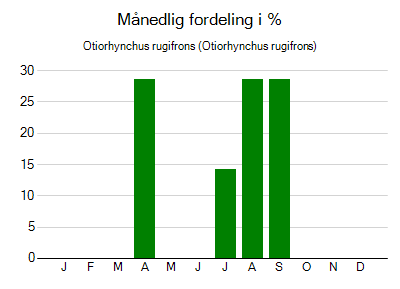 Otiorhynchus rugifrons - månedlig fordeling