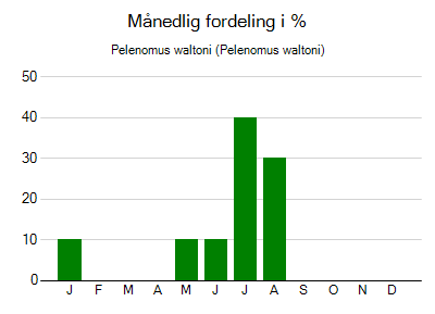 Pelenomus waltoni - månedlig fordeling