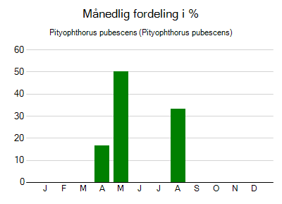 Pityophthorus pubescens - månedlig fordeling
