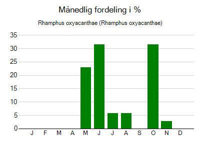 Rhamphus oxyacanthae - månedlig fordeling