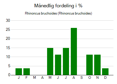 Rhinoncus bruchoides - månedlig fordeling
