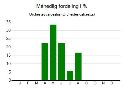 Orchestes calceatus - månedlig fordeling