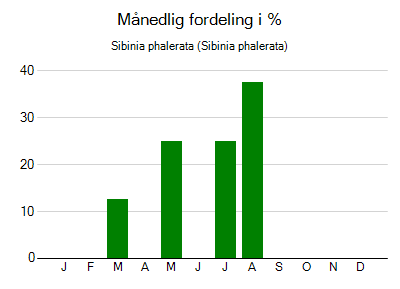 Sibinia phalerata - månedlig fordeling