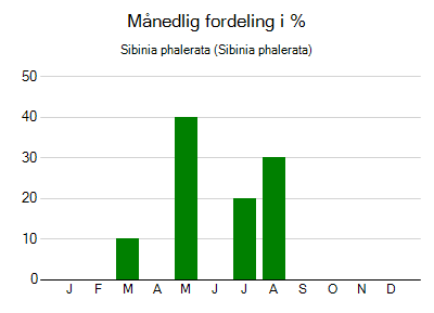 Sibinia phalerata - månedlig fordeling
