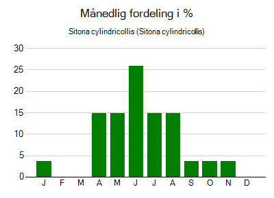 Sitona cylindricollis - månedlig fordeling