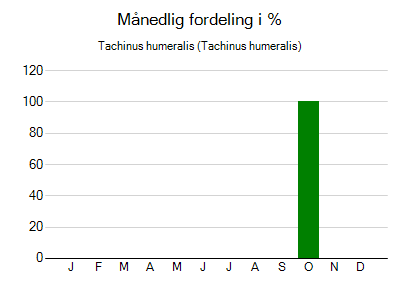 Tachinus humeralis - månedlig fordeling
