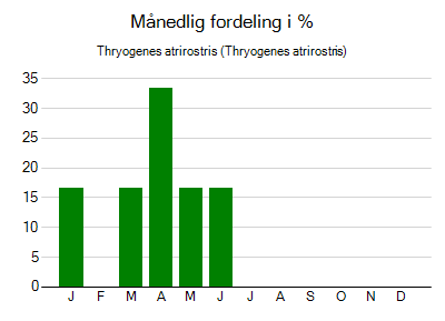 Thryogenes atrirostris - månedlig fordeling