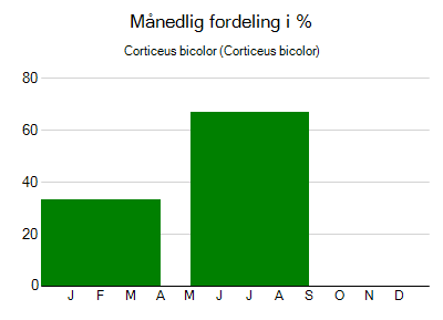 Corticeus bicolor - månedlig fordeling