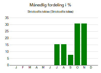 Stricticollis tobias - månedlig fordeling