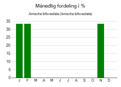 Amischa bifoveolata - månedlig fordeling