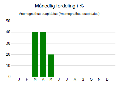 Anomognathus cuspidatus - månedlig fordeling