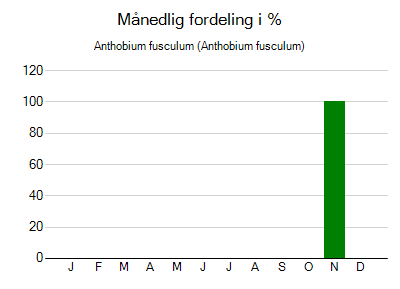 Anthobium fusculum - månedlig fordeling