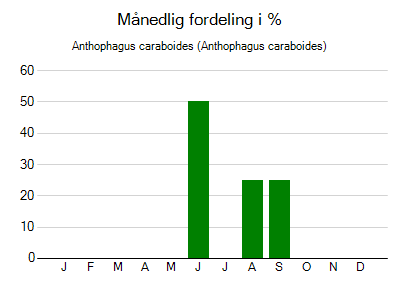 Anthophagus caraboides - månedlig fordeling