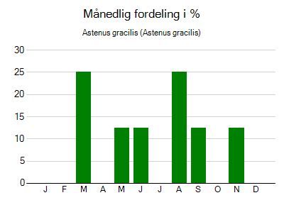 Astenus gracilis - månedlig fordeling