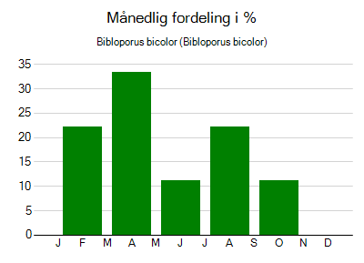 Bibloporus bicolor - månedlig fordeling