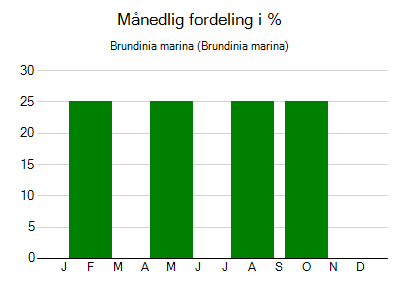 Brundinia marina - månedlig fordeling