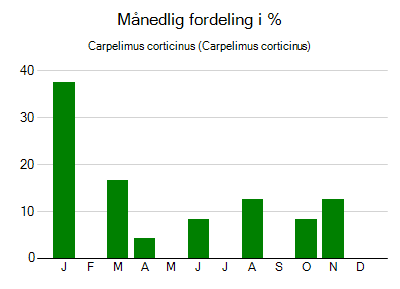 Carpelimus corticinus - månedlig fordeling