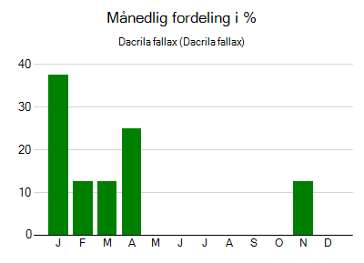 Dacrila fallax - månedlig fordeling