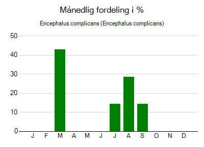 Encephalus complicans - månedlig fordeling