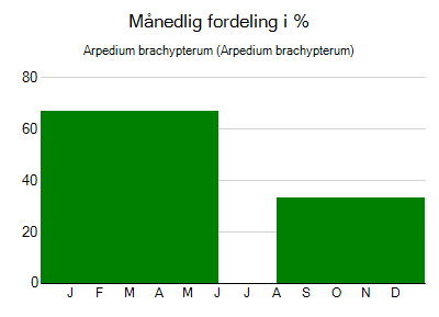 Arpedium brachypterum - månedlig fordeling
