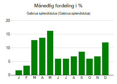 Gabrius splendidulus - månedlig fordeling