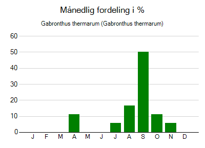 Gabronthus thermarum - månedlig fordeling