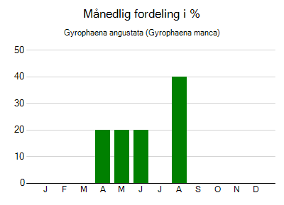 Gyrophaena angustata - månedlig fordeling