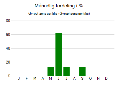 Gyrophaena gentilis - månedlig fordeling