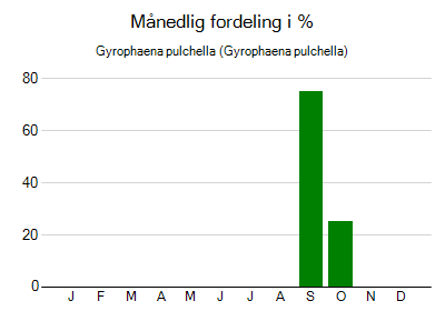 Gyrophaena pulchella - månedlig fordeling
